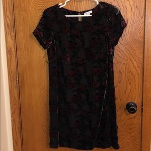 Velvet Dress